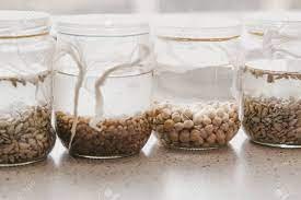 How To Save Seeds From Moisture